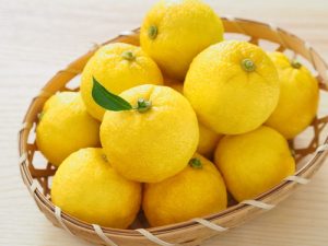 中秋節 熱量
