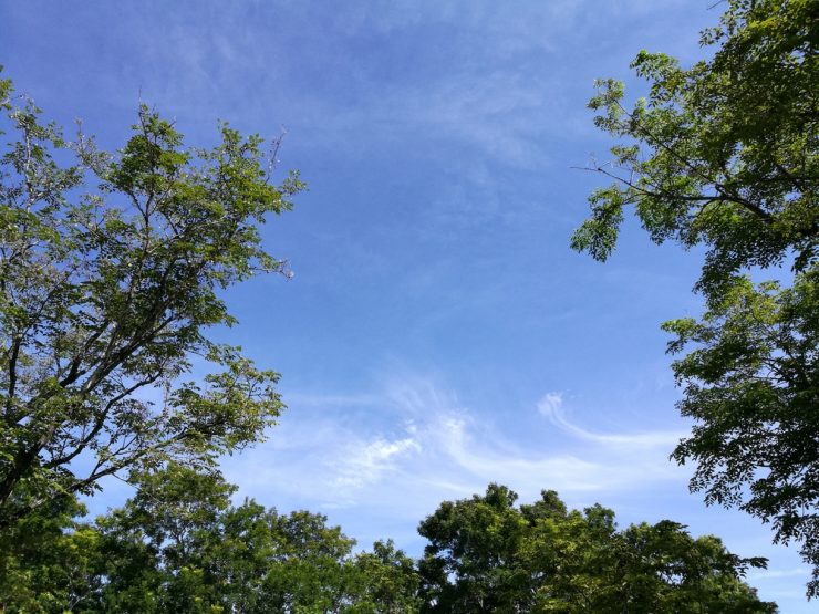 大安森林公園 美食