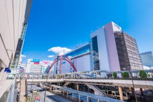東京 賞楓