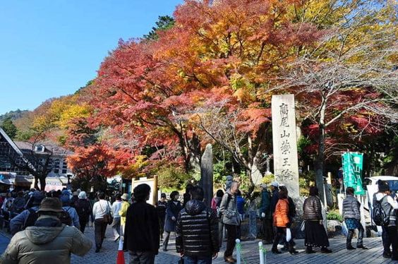 高尾山