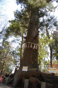 高尾山