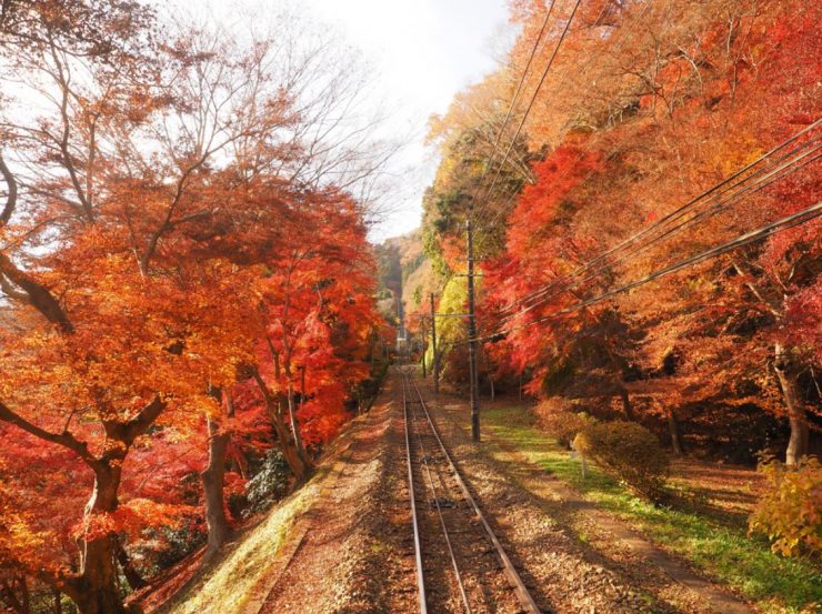 高尾山
