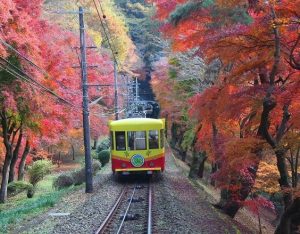 高尾山