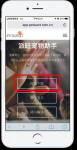 寵物