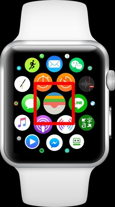Apple Watch
