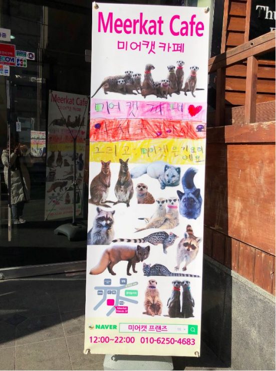 狐獴咖啡聽 「Meerkat friends」
