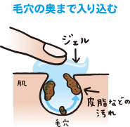 毛孔