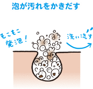 毛孔