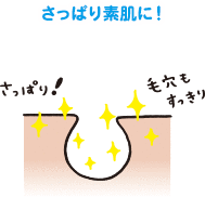 毛孔