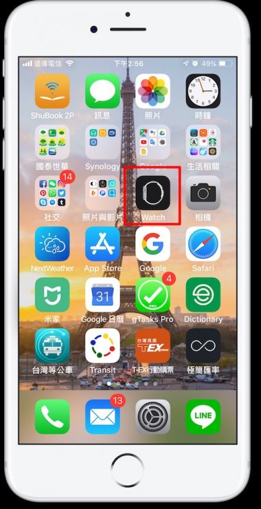 Apple Watch