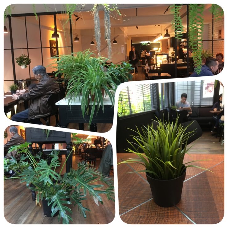 Angel Cafe