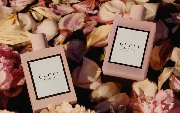GUCCI