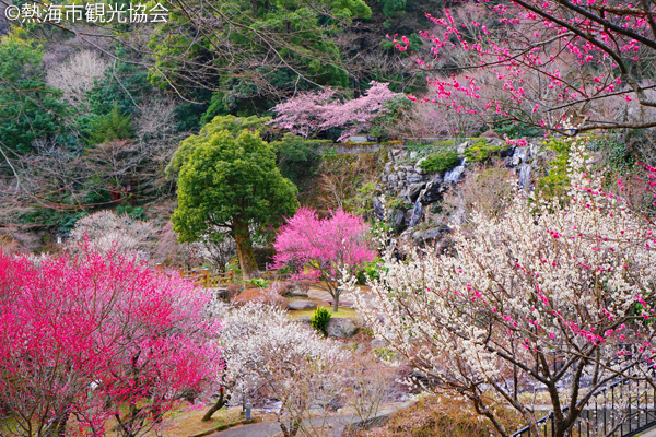 熱海梅園