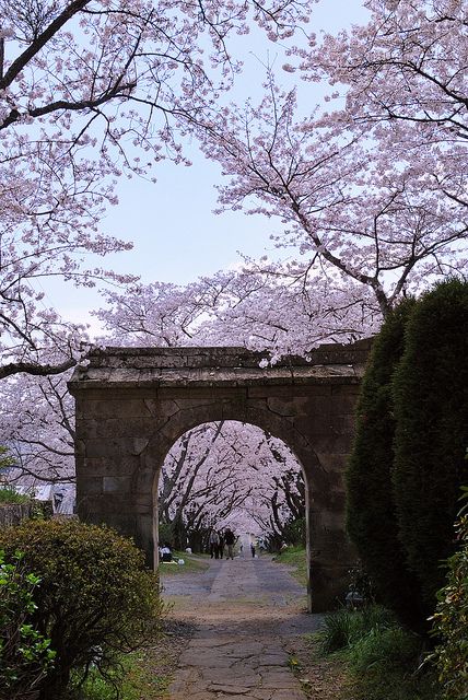 圓應寺