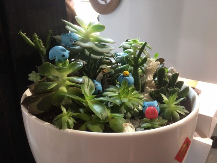 咖波屋