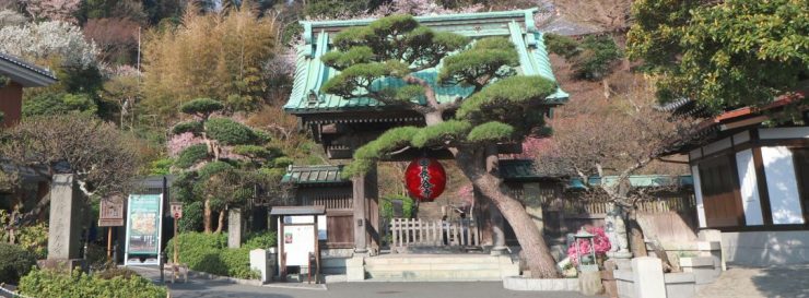 長谷寺