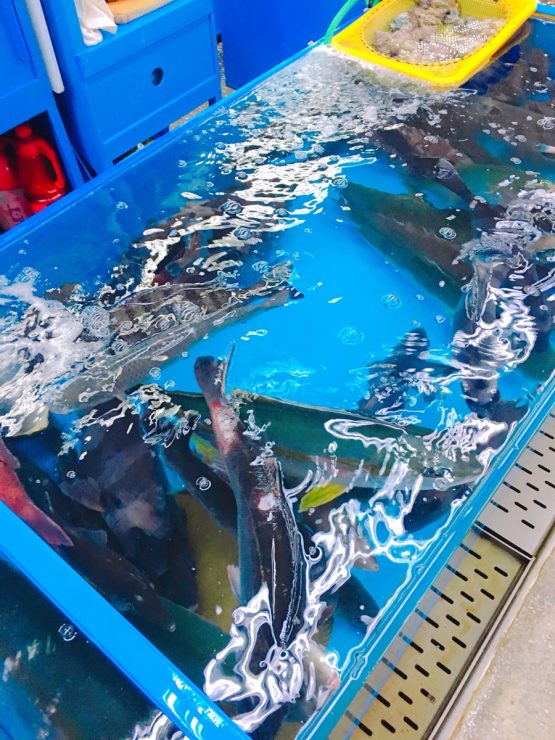 到釜山絕對要品嘗廣安里的新鮮魚類