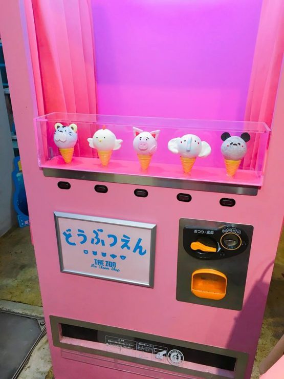 動物園