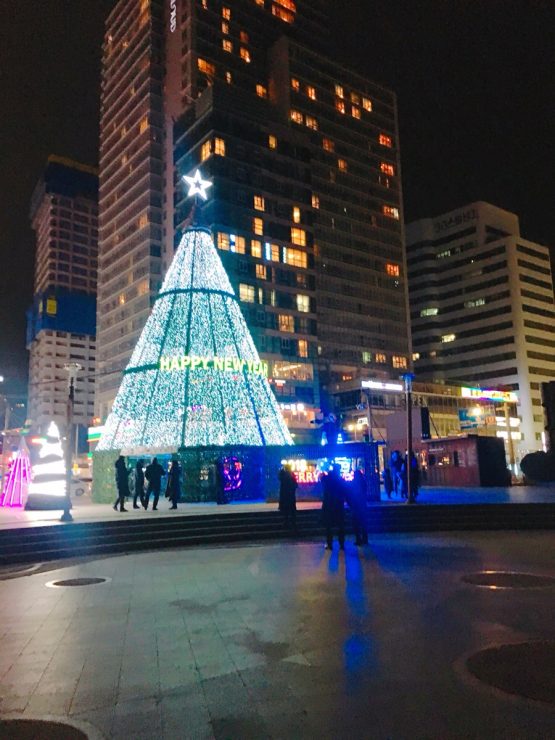在廣安里海水浴場欣賞夜景（廣安大橋）