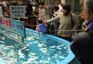 北海道 函館
