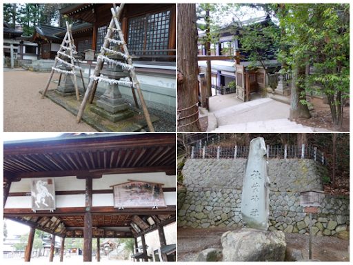巴士旅行