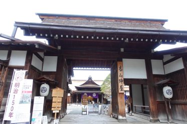 巴士旅行