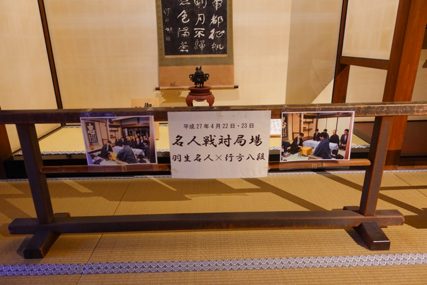 巴士旅行