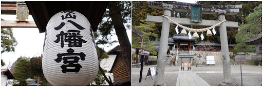 巴士旅行