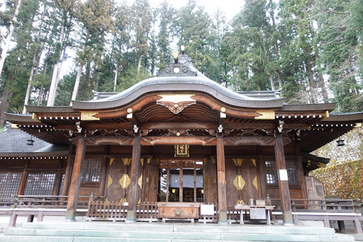 巴士旅行