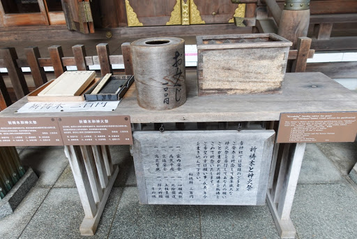 巴士旅行