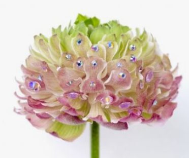幻彩北極光萊茵石
