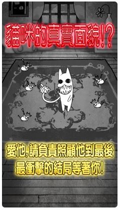 貓奴 APP