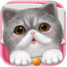 貓咪遊戲