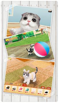 貓咪遊戲 APP