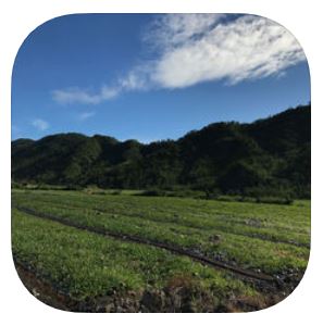 空氣監控APP