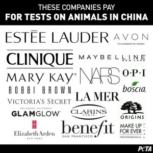 拒絕動物實驗品牌推薦