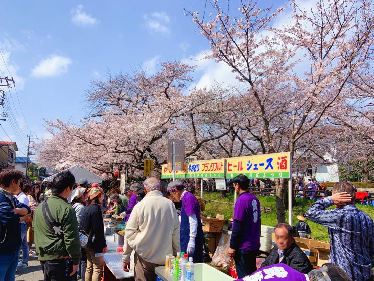 川越櫻花