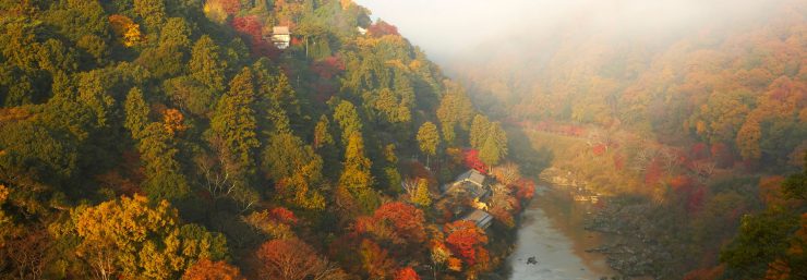星野渡假村
