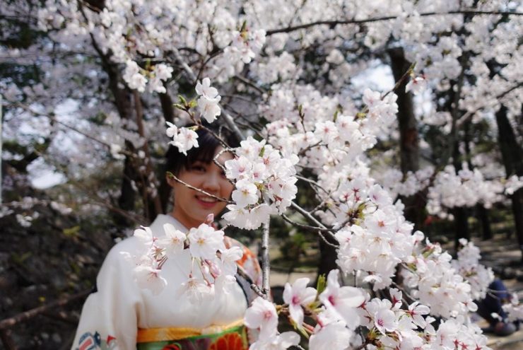 櫻花 和服