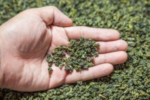 綠茶 推薦