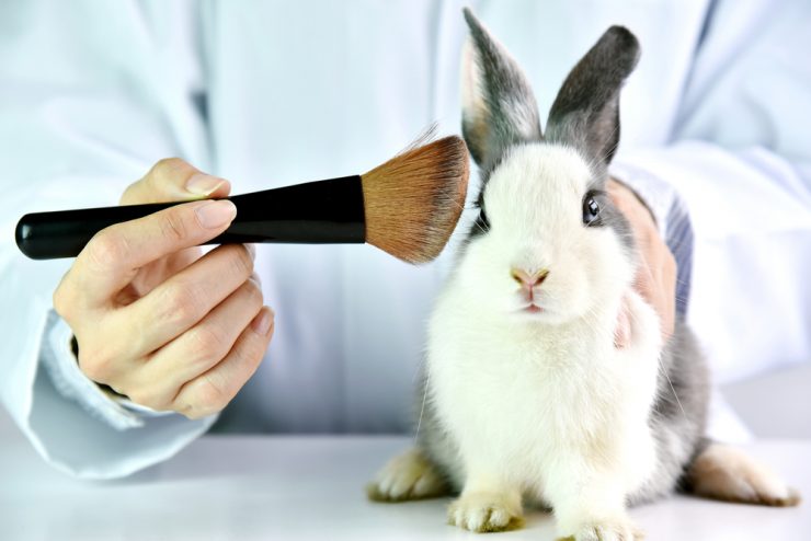 拒絕動物實驗品牌推薦