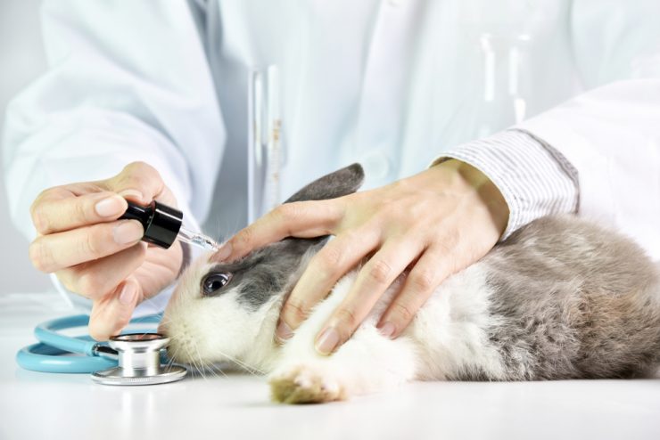 拒絕動物實驗品牌推薦