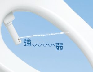 toto 免治馬桶