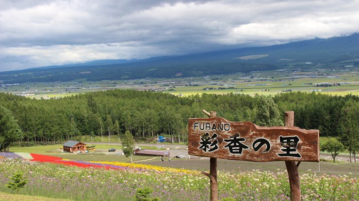 北海道 薰衣草田