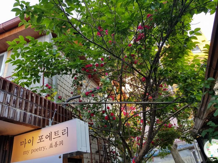 韓國飾品