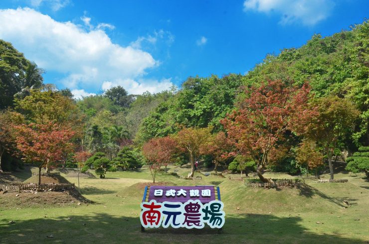 台灣 薰衣草田