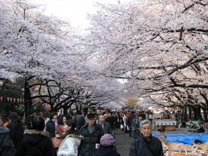 上野親子遊景點