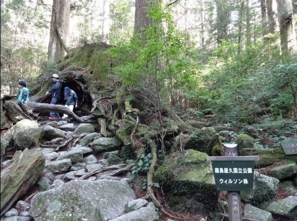 鹿兒島 景點