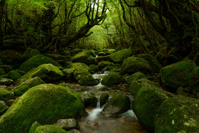 鹿兒島自駕遊