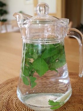 消暑飲料 作法